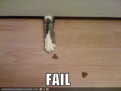 found cat fail