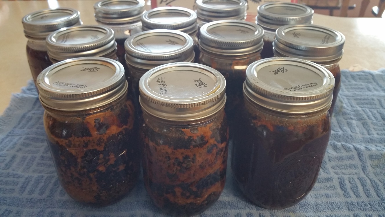 myjars-jpg.556659